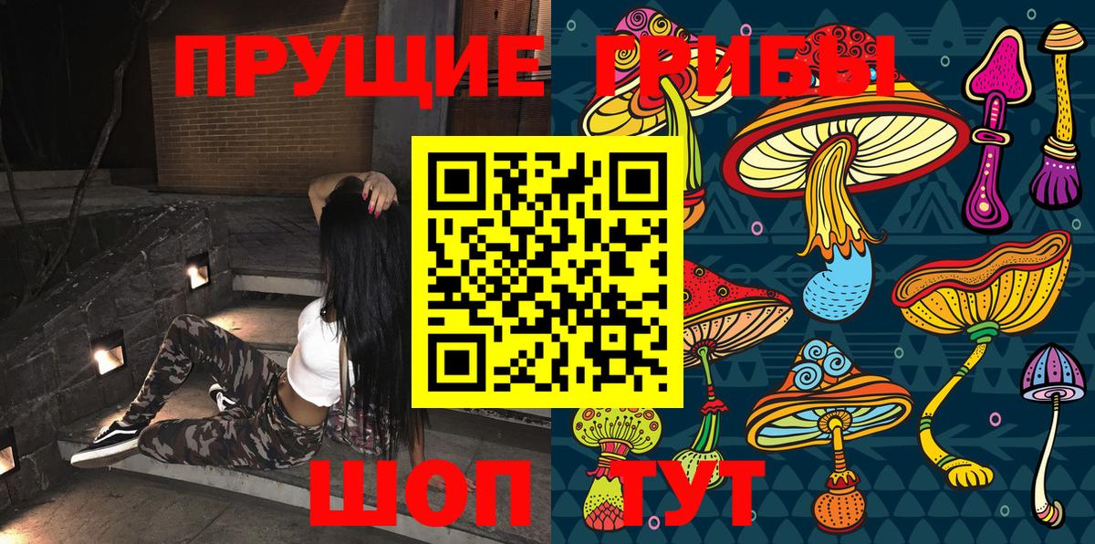 Гудермес  закладка  Вход с VPN  Галлюциногенные грибы Psilocybe  Псилоцибиновые грибы Magic Shrooms 