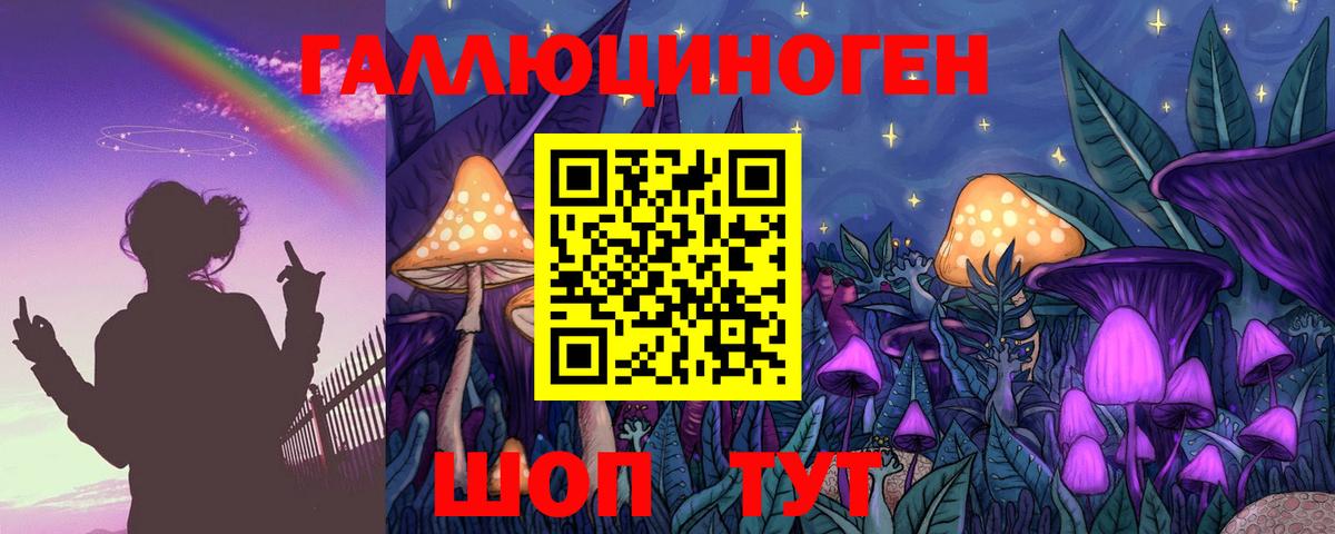 Галлюциногенные грибы Cubensis Гудермес